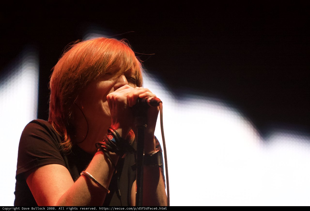 Woman Wows Crowd with Powerful Performance at Coachella 2008