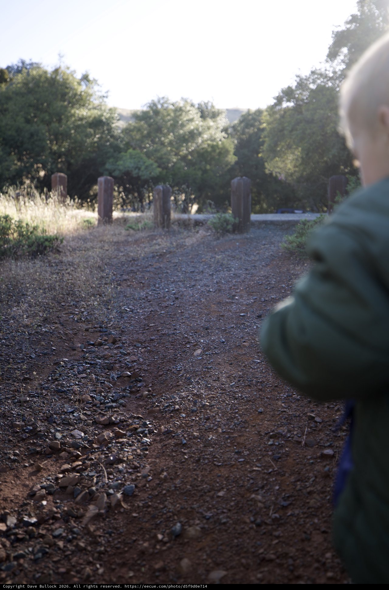 Young Explorer on Gravel Trail at Mount Diablo