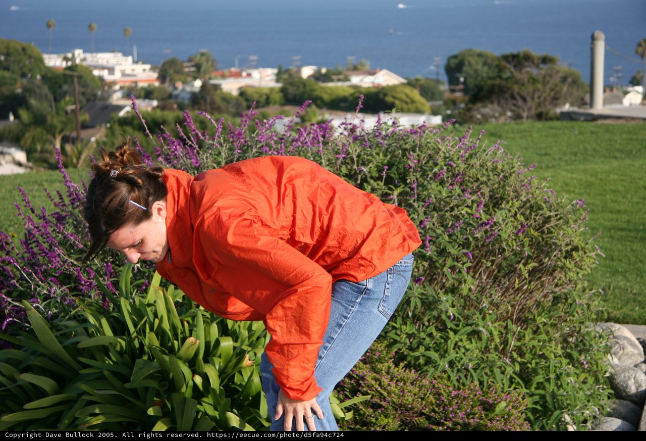 Woman Examines Garden Blooms Above Coastal Town