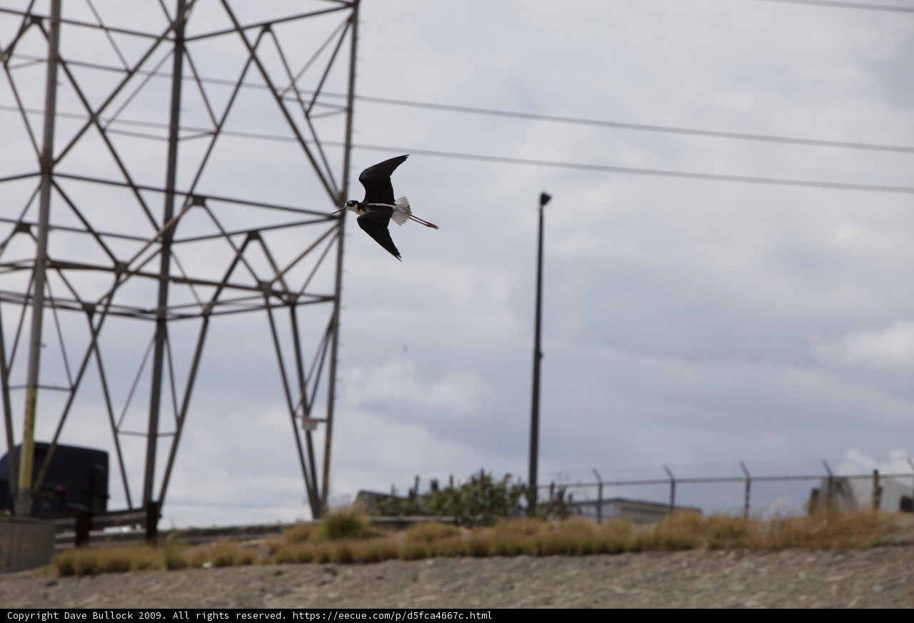 Flight over power lines