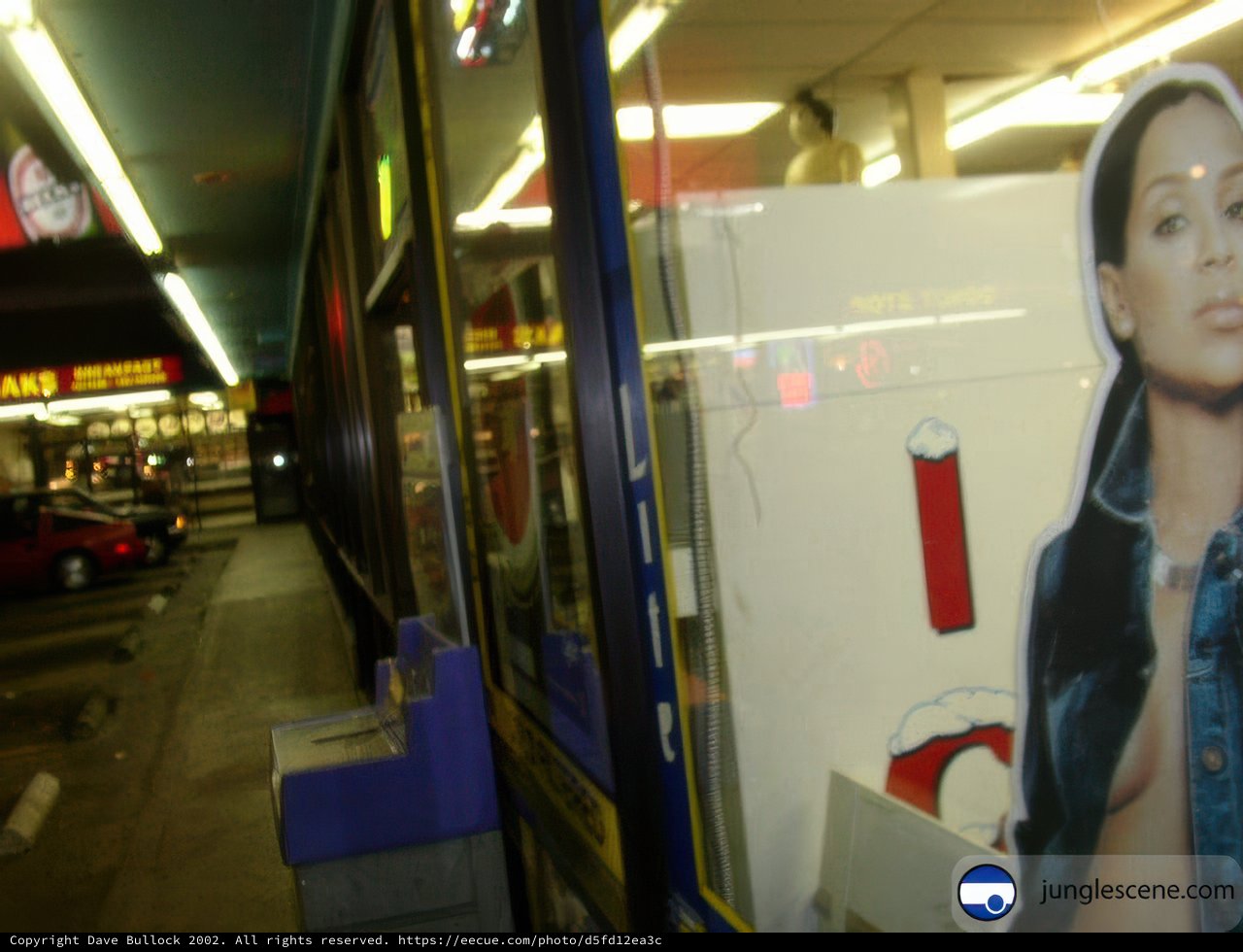 Terminal Window Display