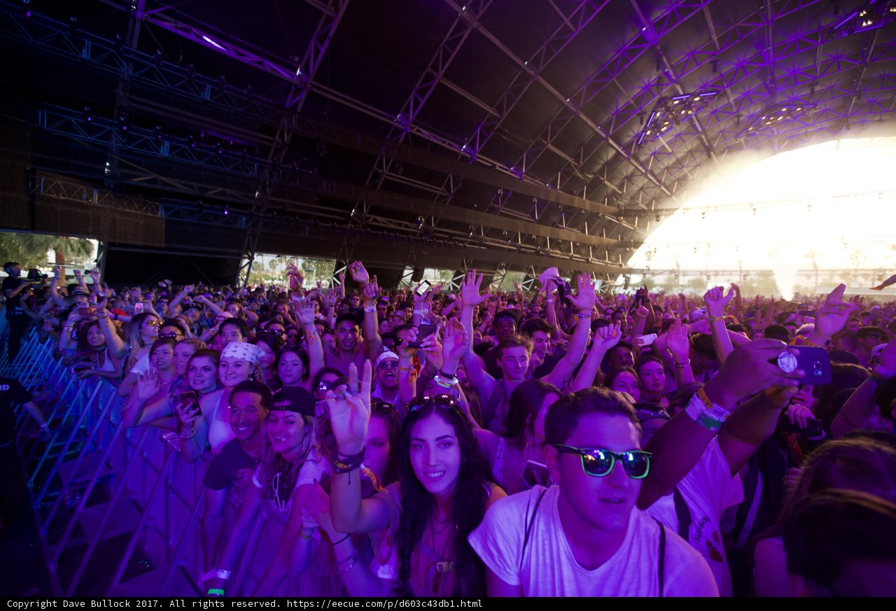 Electric Vibes at Coachella
