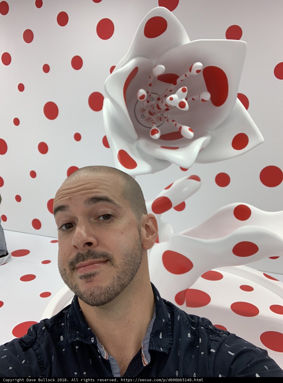 Polka Dot Portrait with Dave B