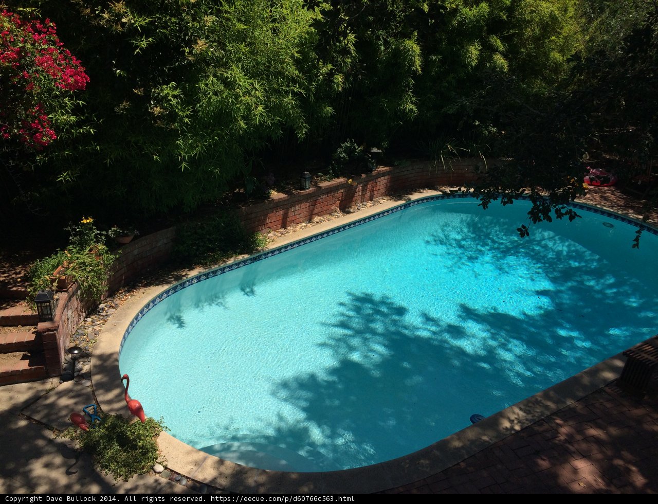 Serene Pool Haven in Altadena