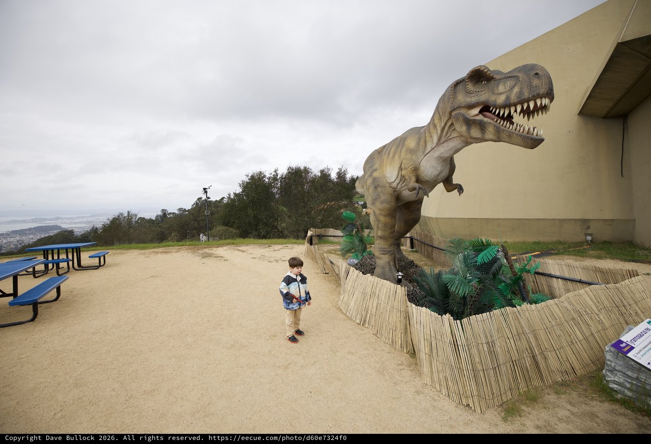 Child Encounters Life-Size T-Rex Display at Hilltop Park