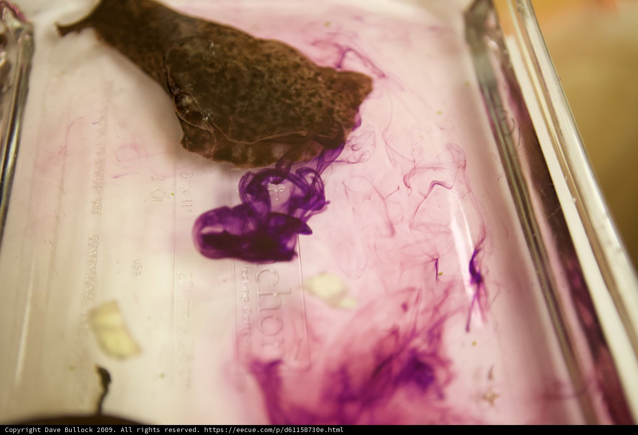 Purple Icing in Plastic Container