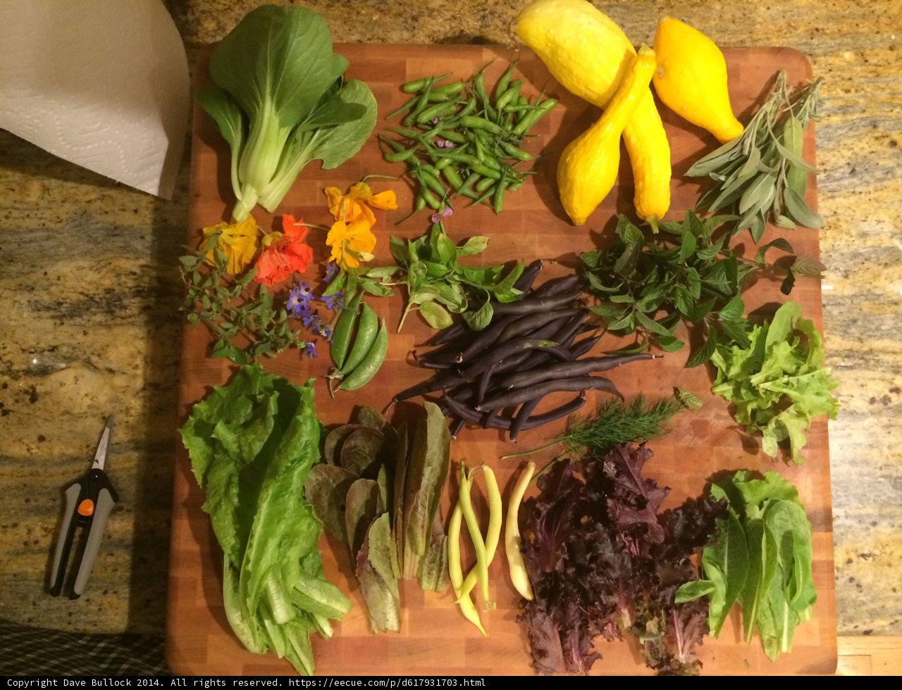 Fresh Cut Vegetables on a Chopping Board