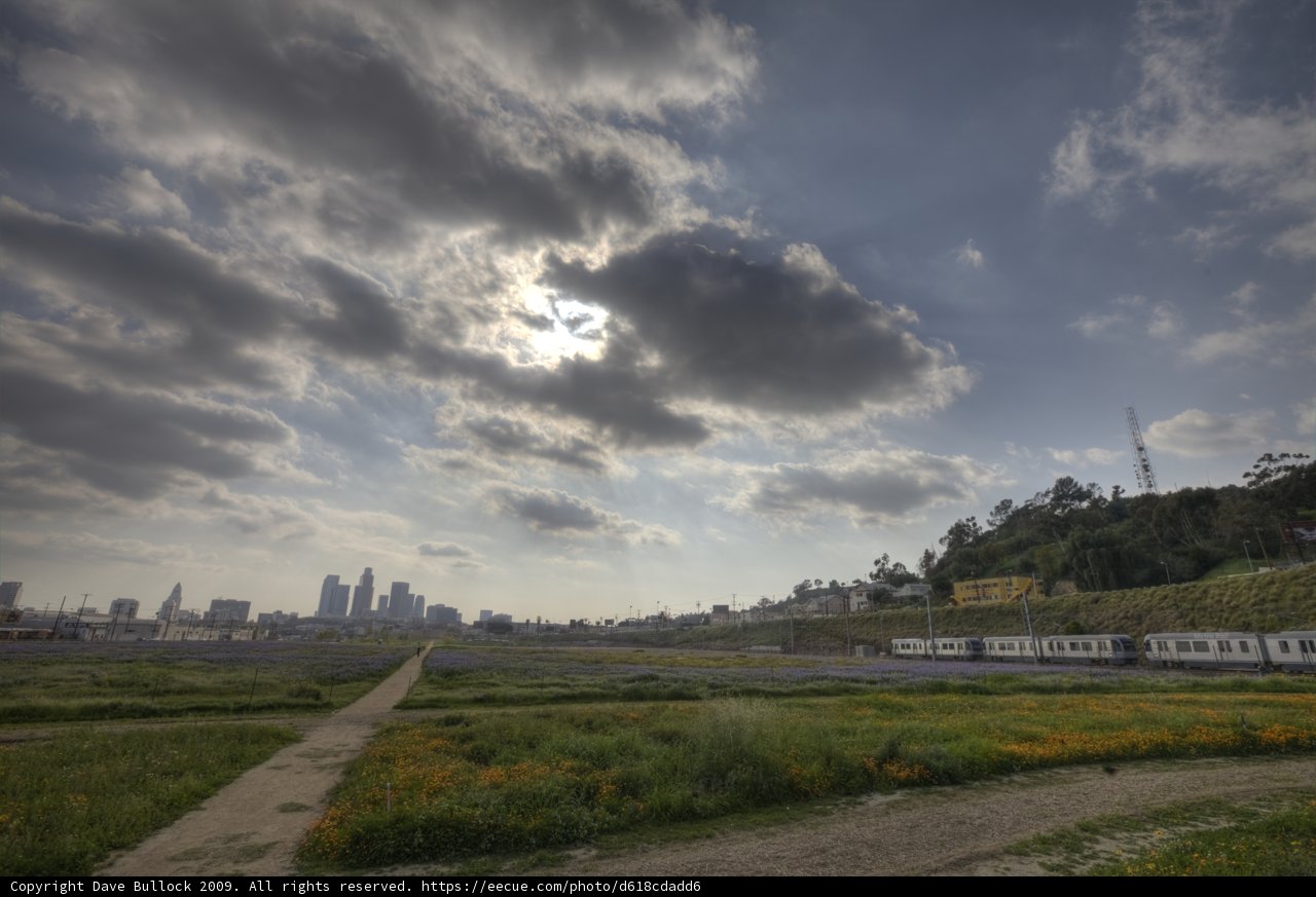 Train in the Fields