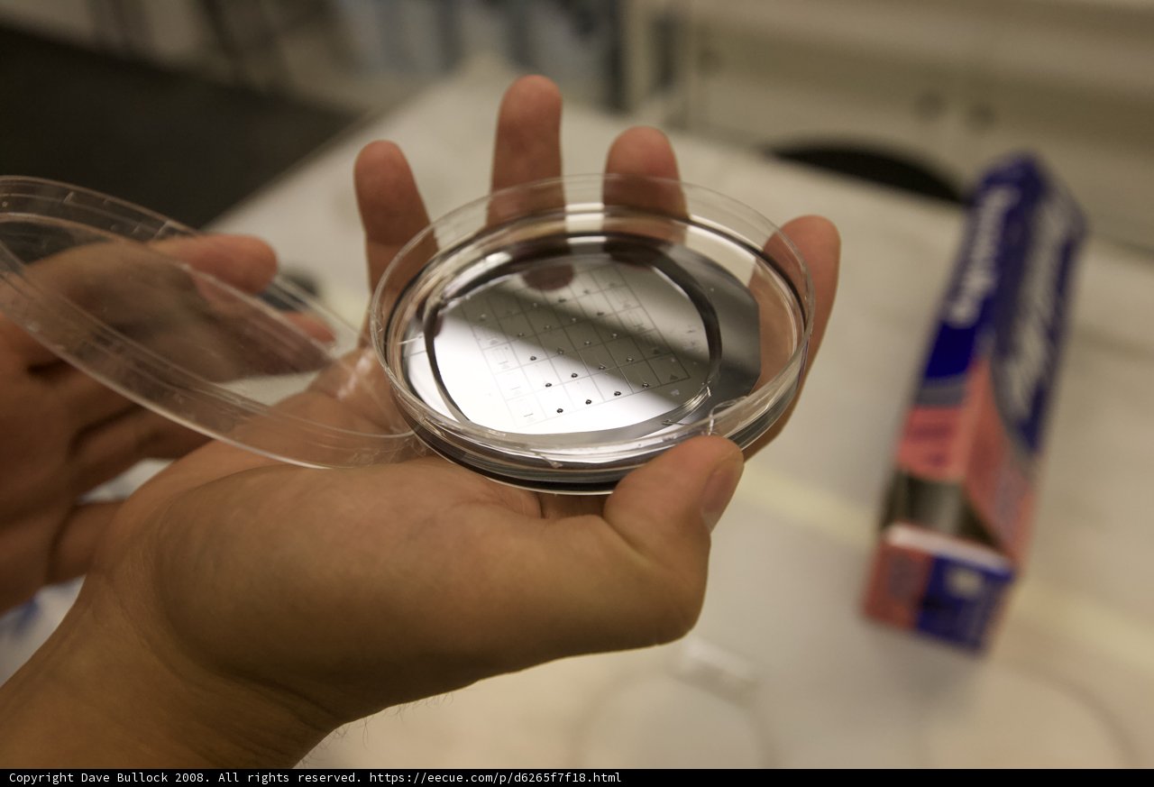 Holding a Small Plastic Container