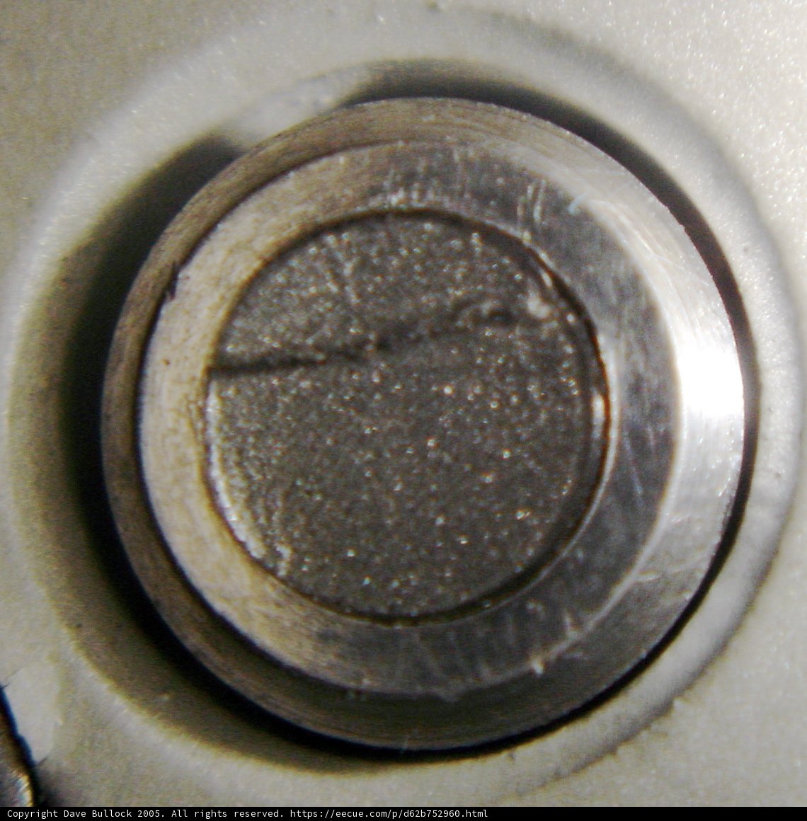 The Silver Button