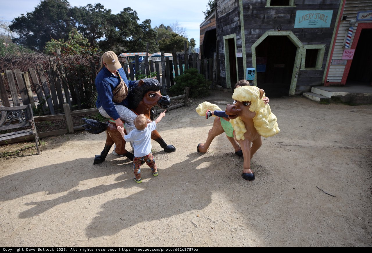 Child Exploring Rustic Western-Themed Play Area with Horse Figures
