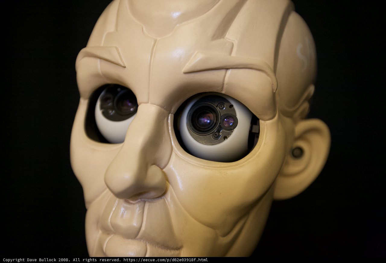 Robot Head with Intense Gaze