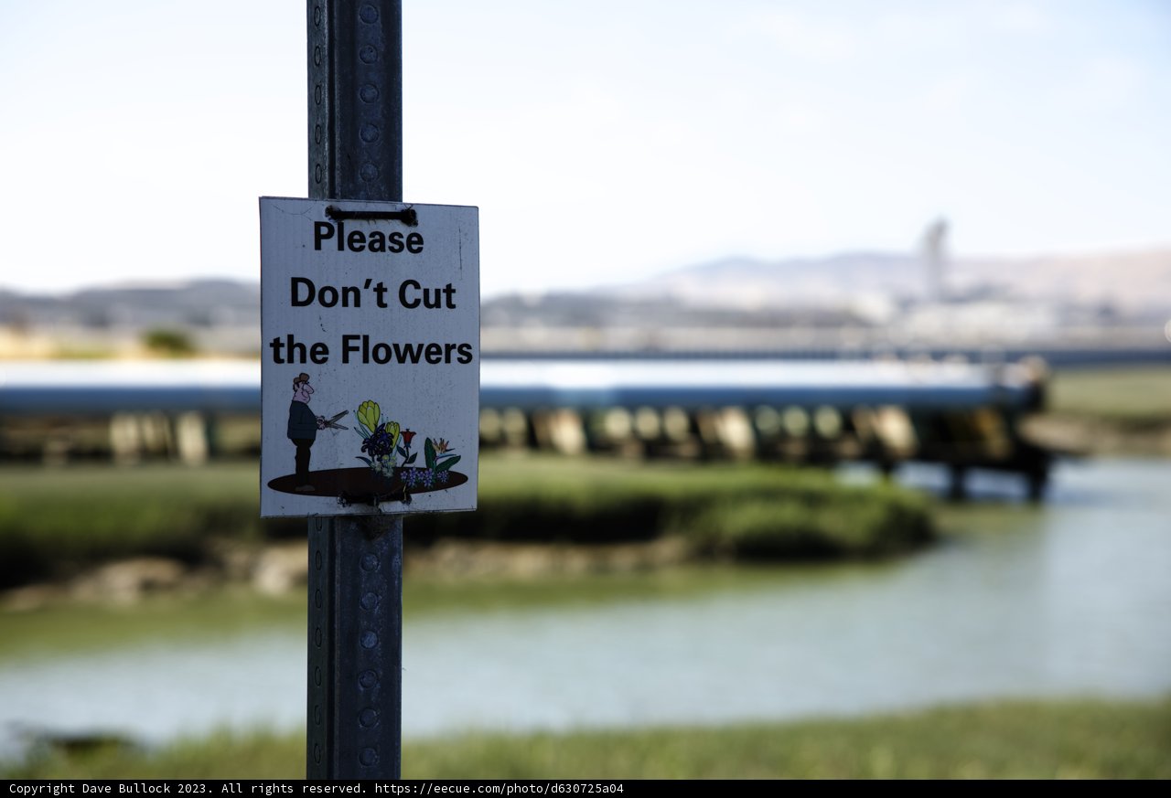 Power in Preservation: A Commandment from Millbrae