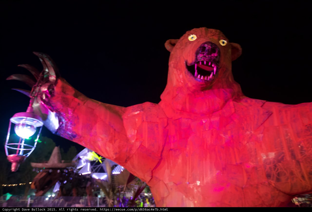 Bear in Red Light