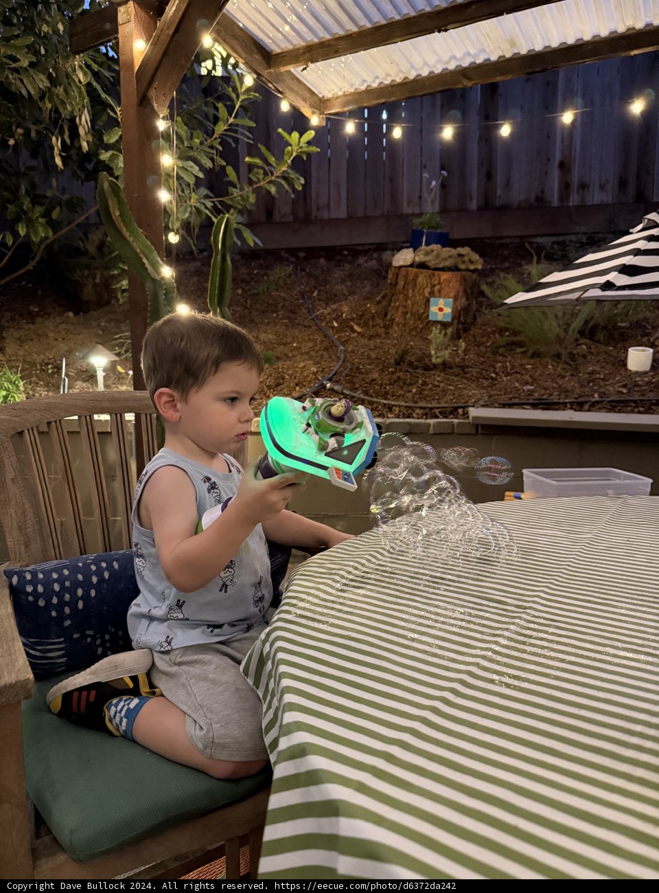 **Evening Bubbles in the Backyard**