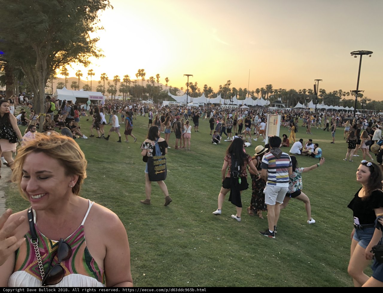 Sunset Gathering in the Grass Field