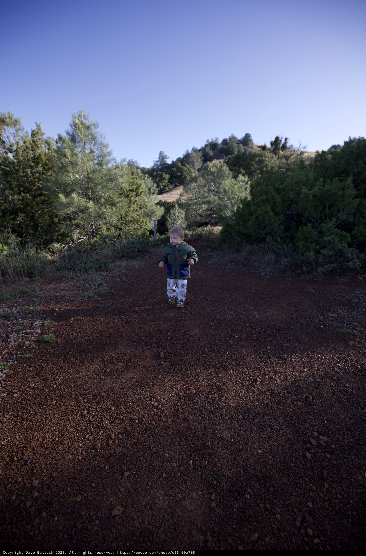 Toddler Explores Red Dirt Trail on Mount Diablo
