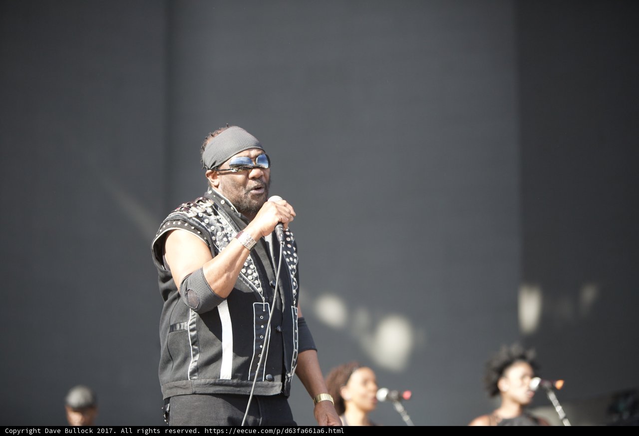 Rocking the Crowd at Coachella