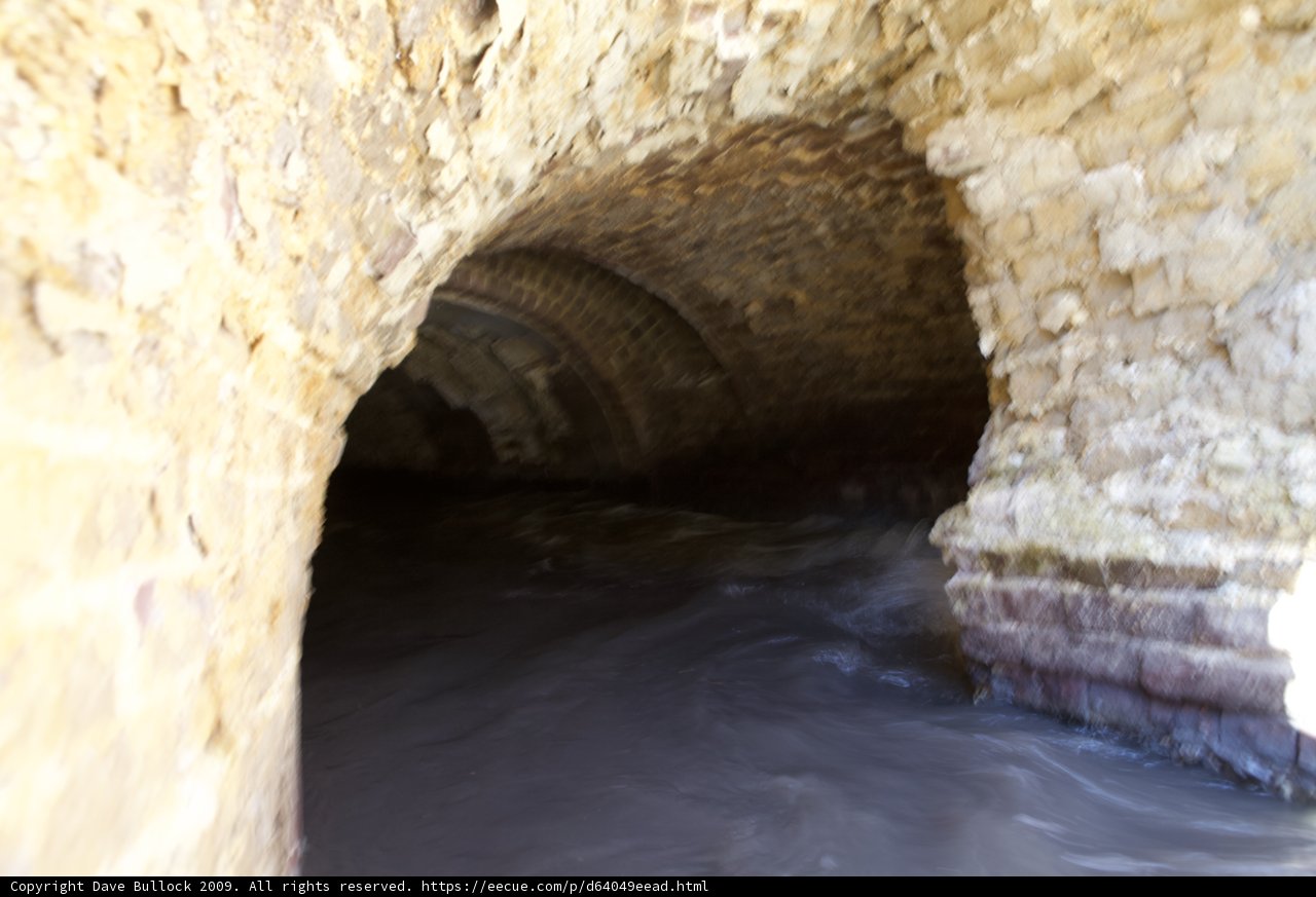 Cryptic Tunnel