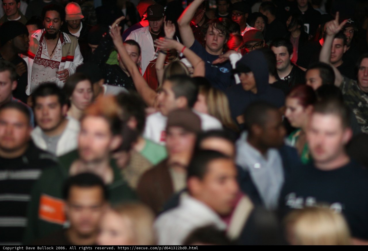 Bass Rush Party Madness!