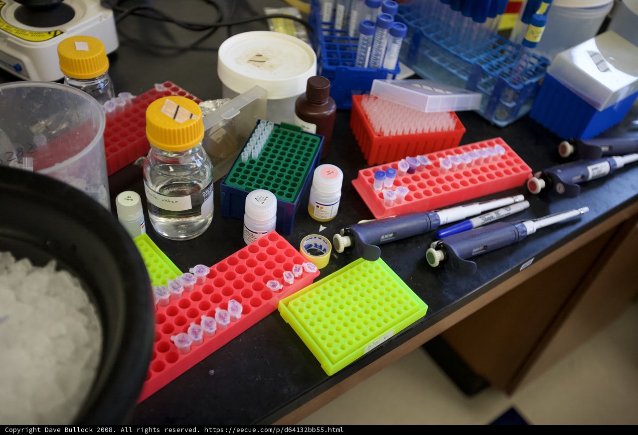 Lab Tools and Toys Galore