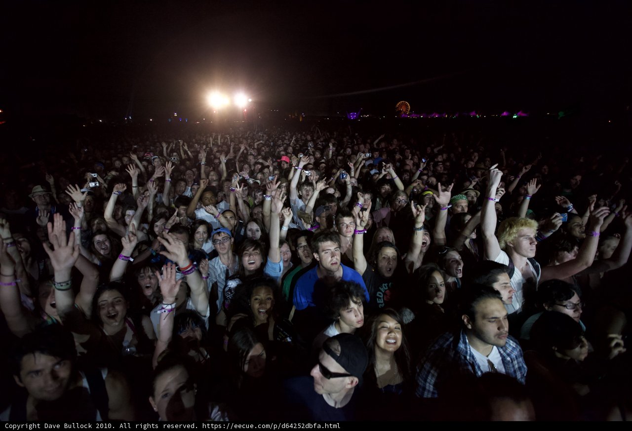 Hands Up in the Crowd