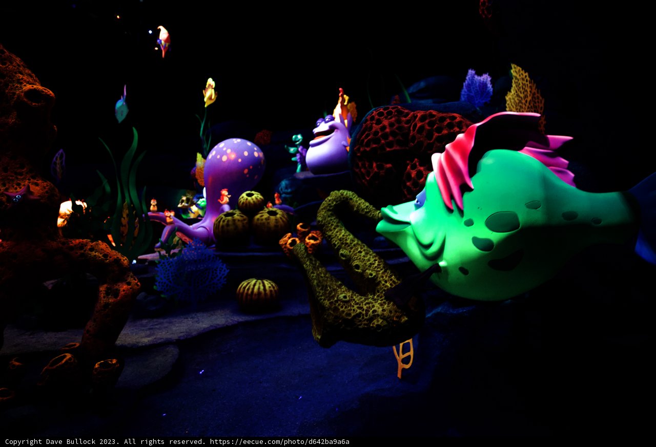 Magical Underwater Wonderland