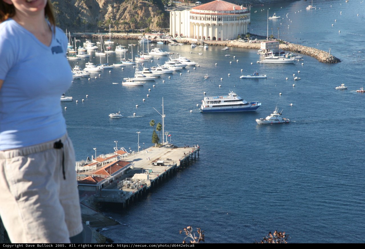 Aerial View of Avalon Harbor, Catalina Island