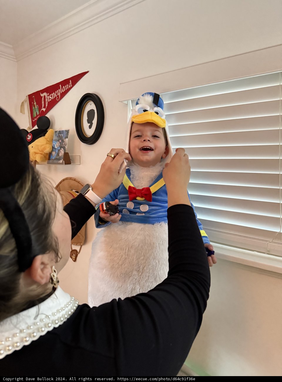 Little Duckling Delight