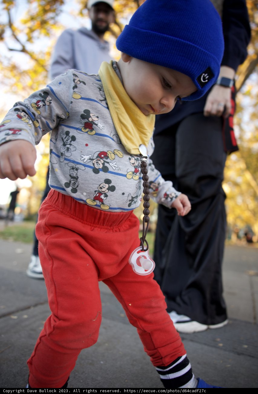 Little Explorer's Bold Debut in Downtown Sonoma