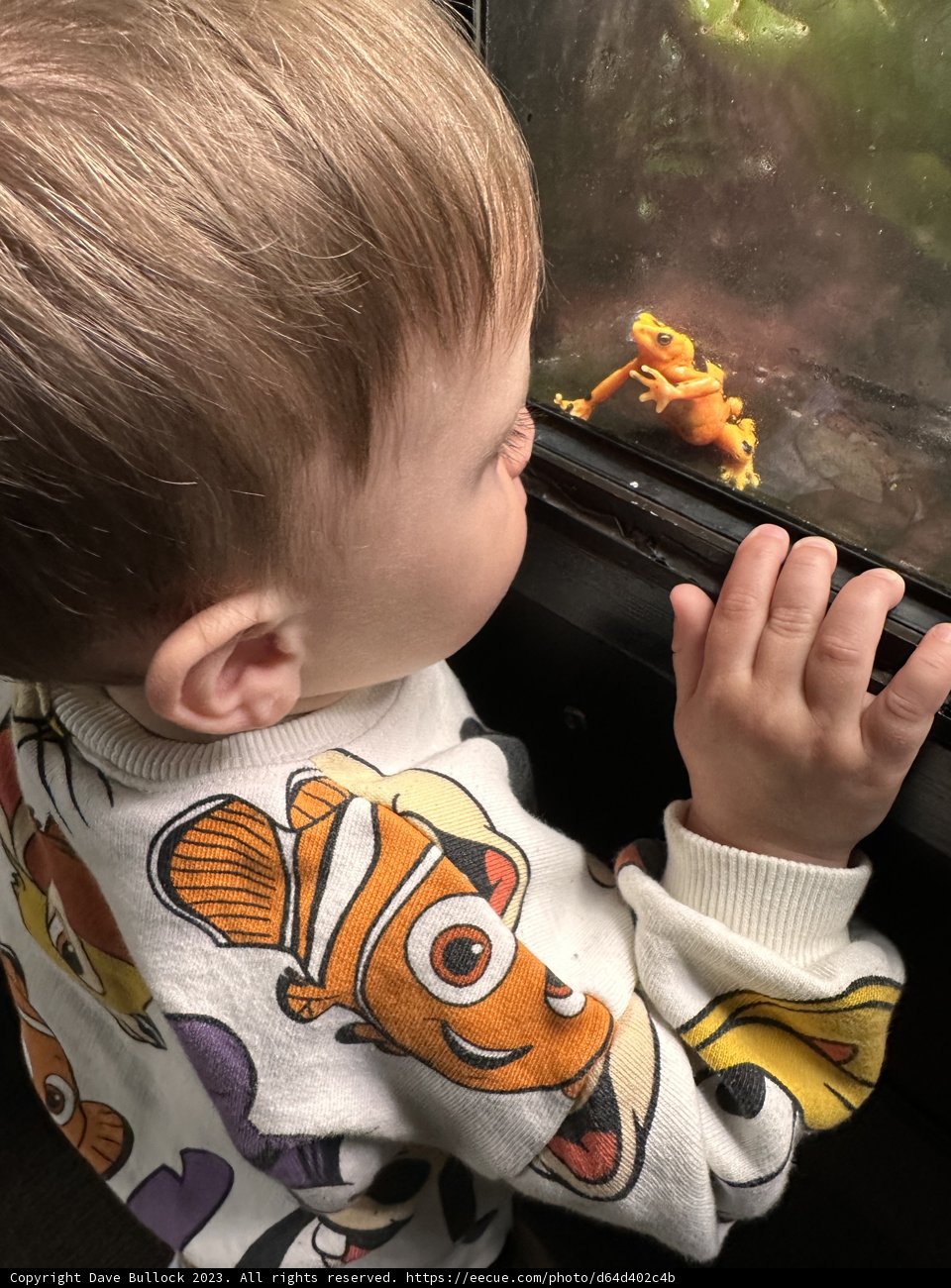 Marvels under the Water at Oakland Zoo