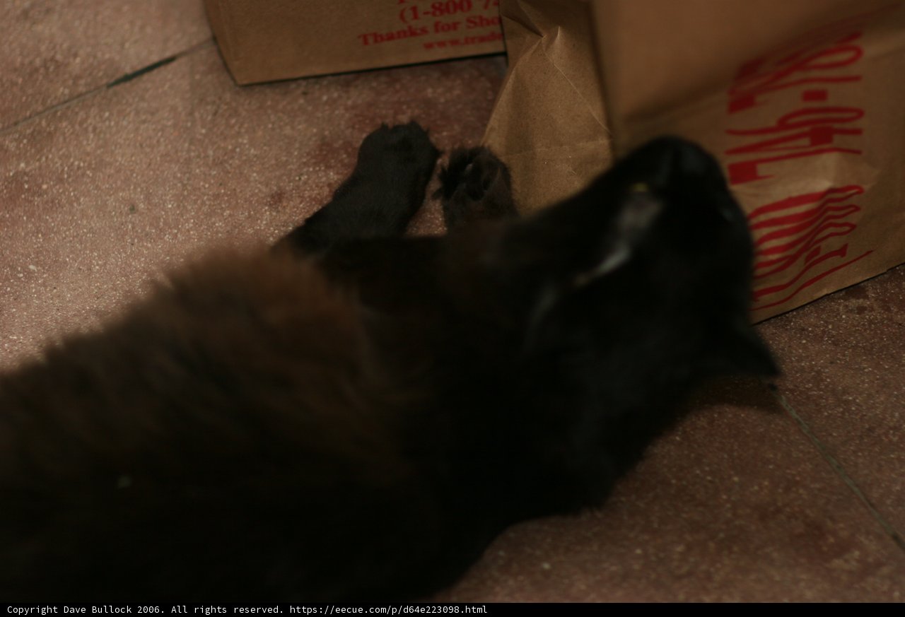 The Purr-fect Box Companion