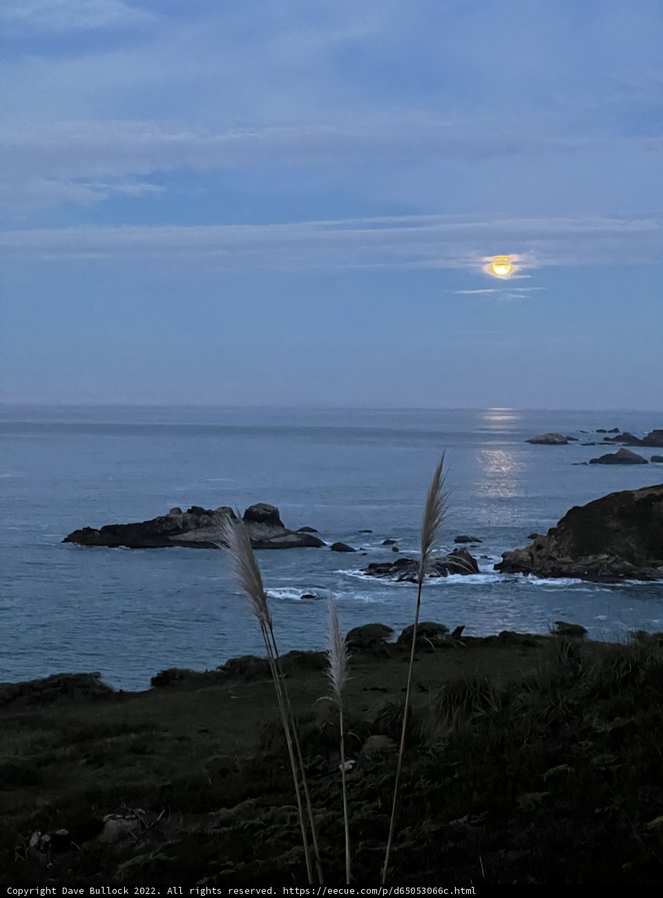 Moonrise over the Pacific