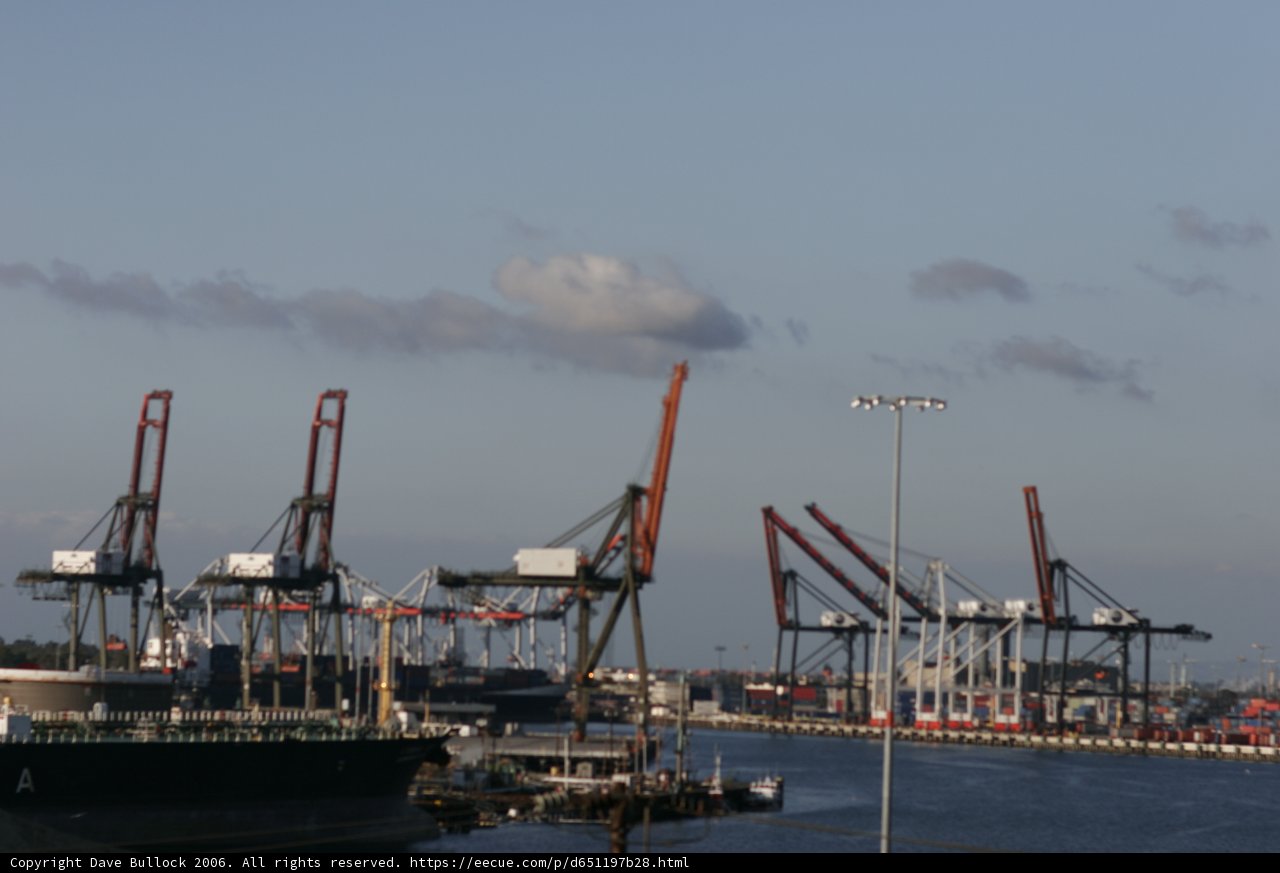 Tranquil Harbor