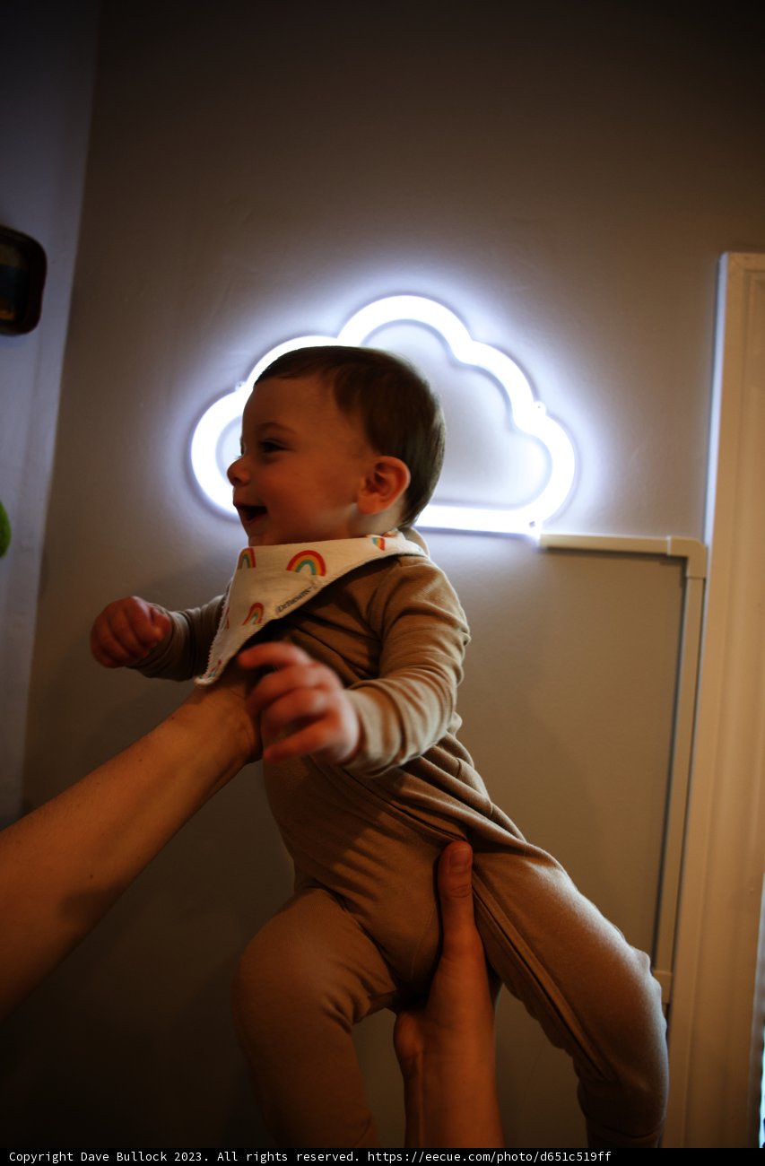 A Bundle of Joy Held High