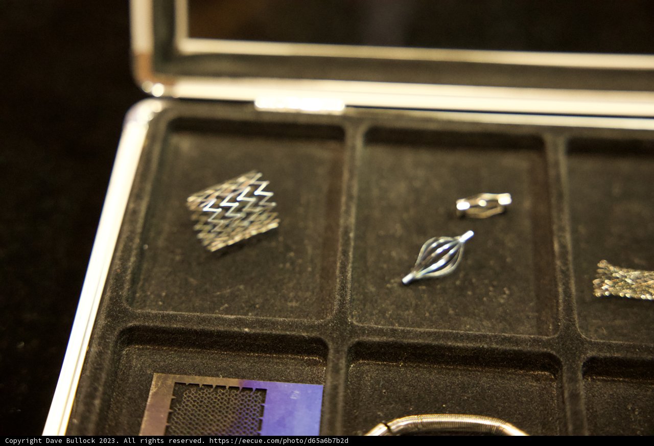 Innovative Fusion of Technology and Luxury at the 2023 Robobusiness Conference