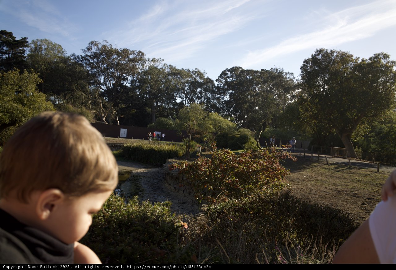 Morning Bonding at SF Zoo