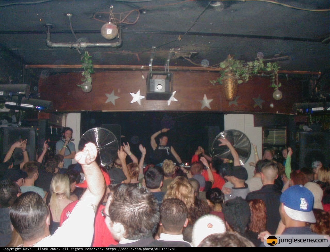 Dance the Night Away