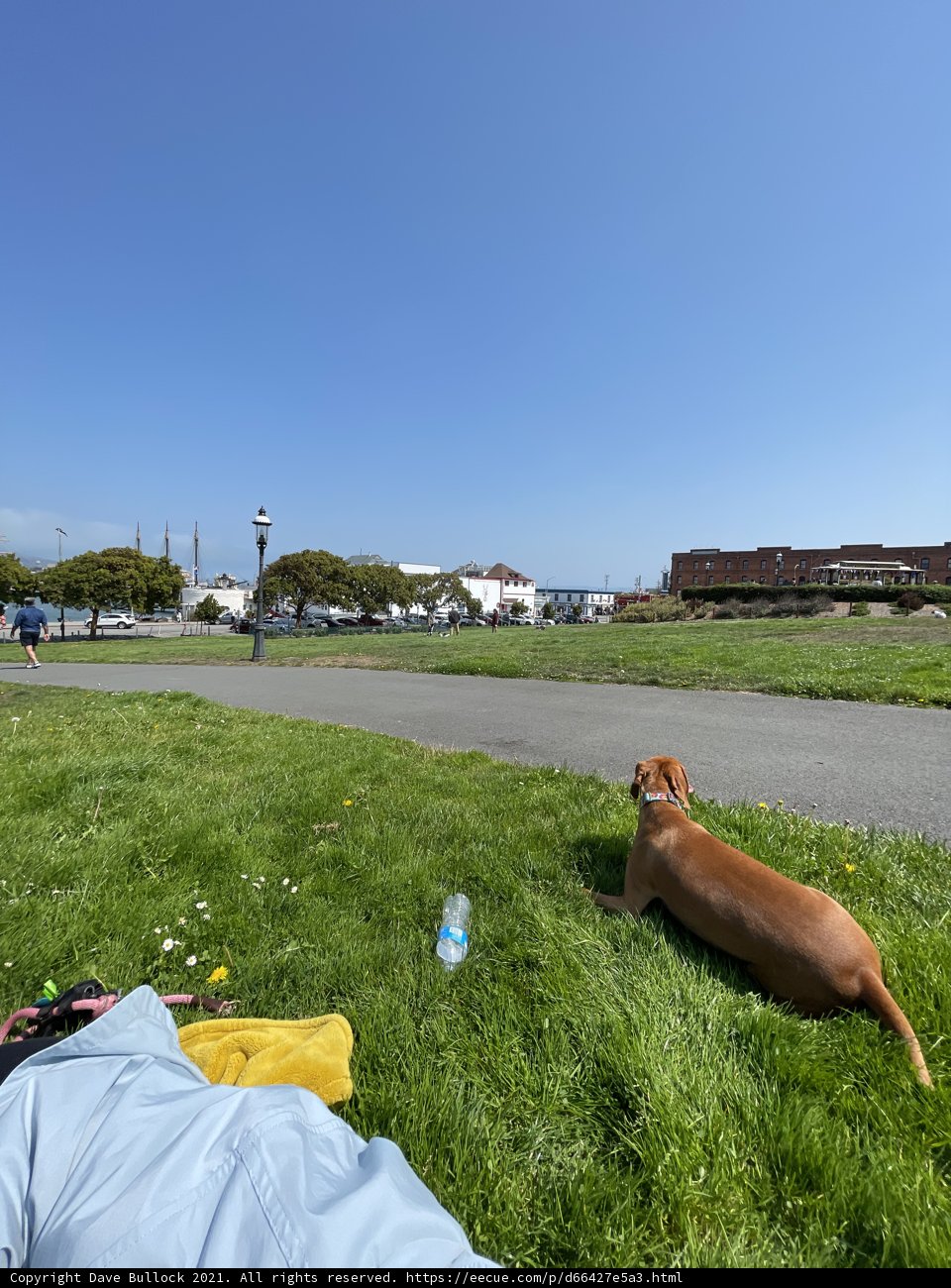 Relaxing with my furry friend Caption: Enjoying the beautiful grassy fields at San Francisco Maritime National Historical Park with my loyal and adorable pup by my side. #nature #outdoors #dog_love #parklife