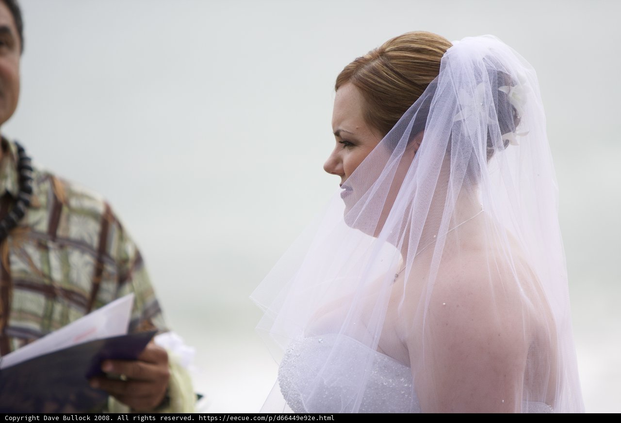 Wedding Bliss in Hawaii