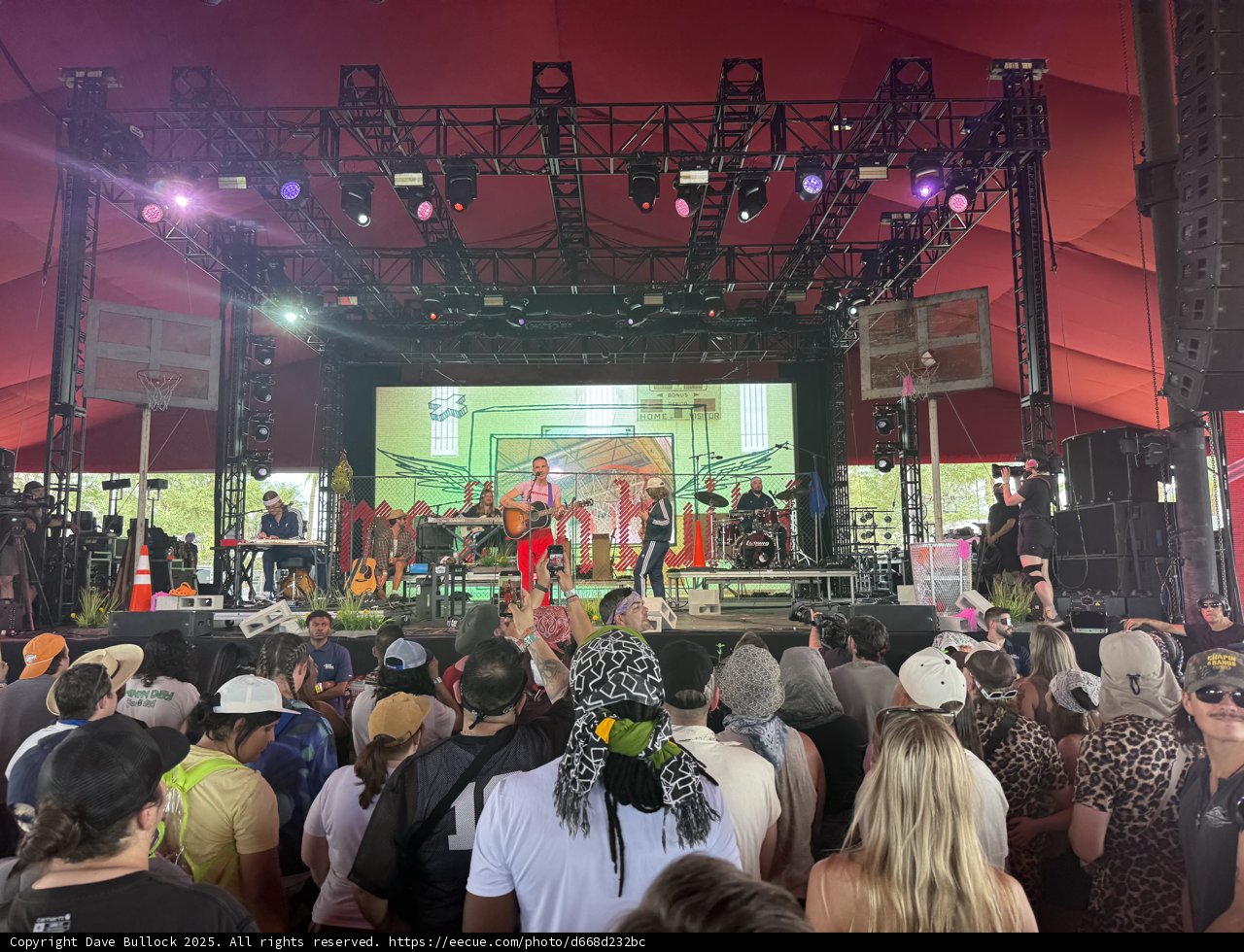 Electric Vibes Under the Tent