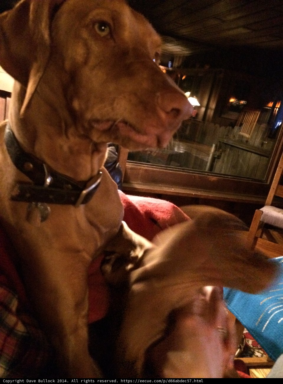 Two Best Friends