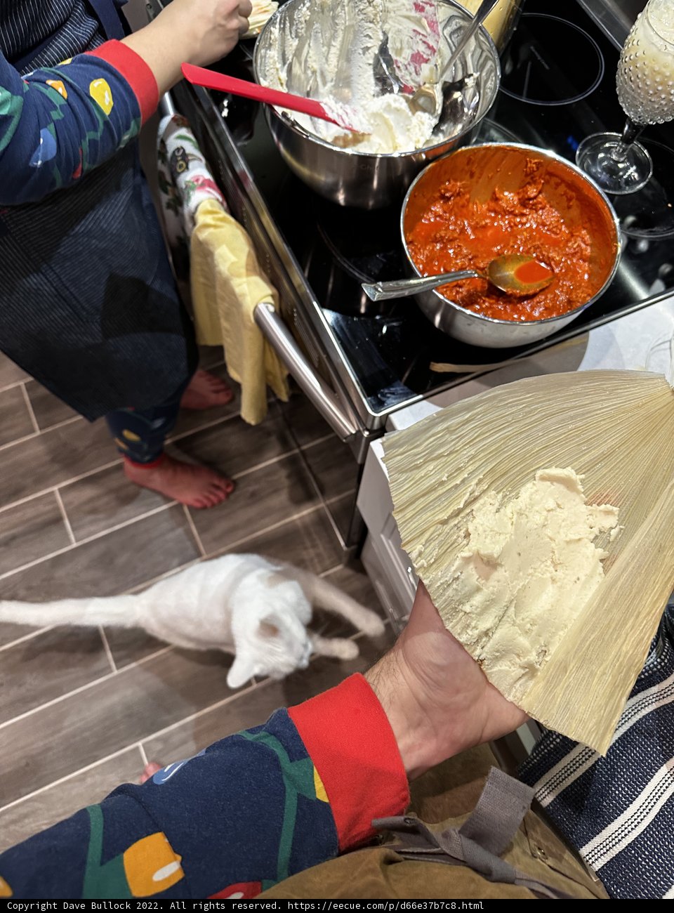 Taco Time with My Feline Friend