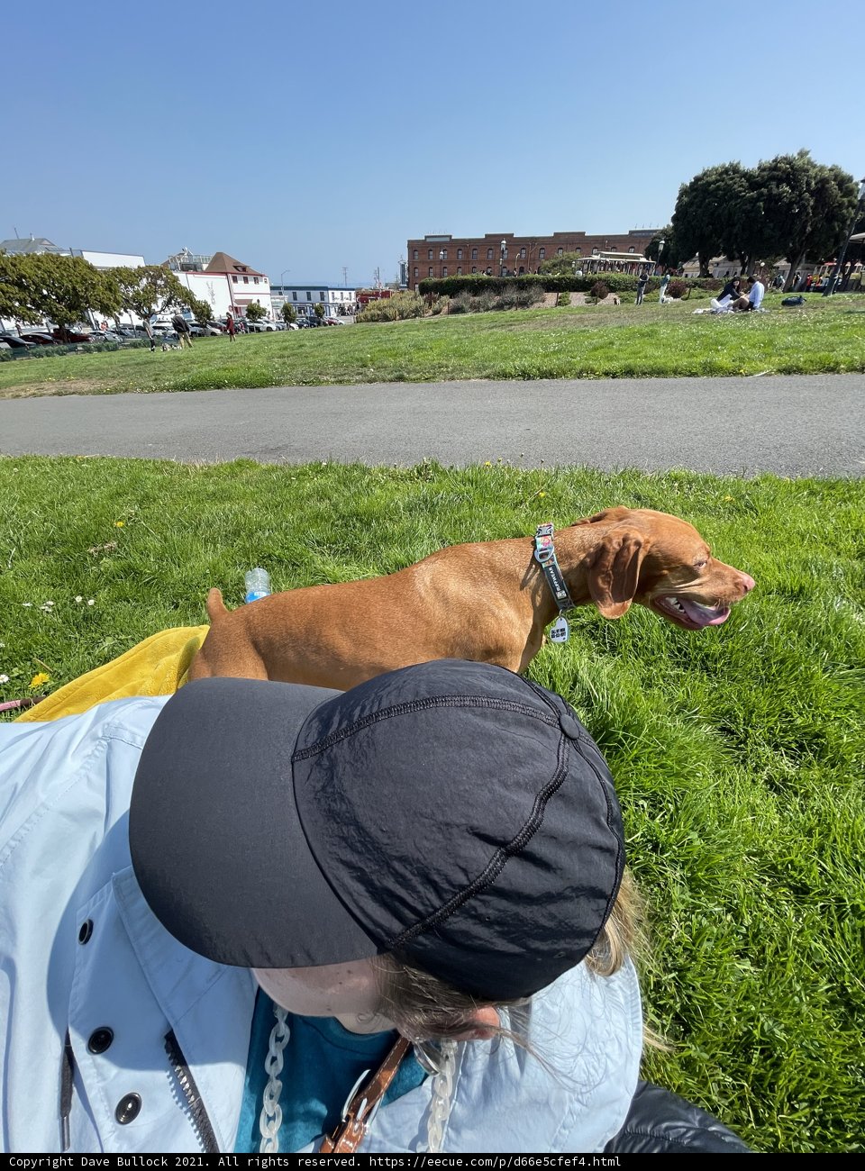 Soaking Up the Sun with My Best Friend