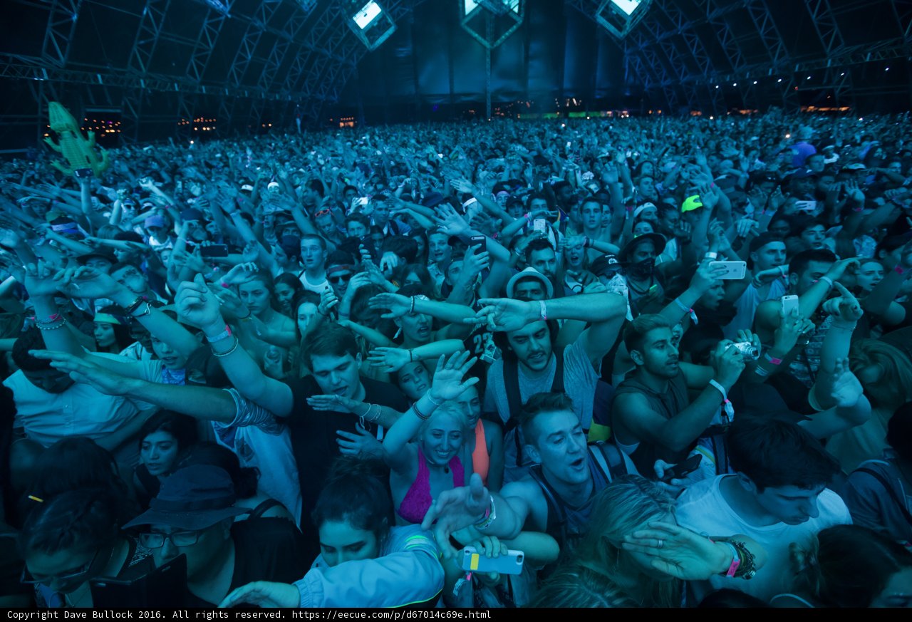 Hands Up at Coachella
