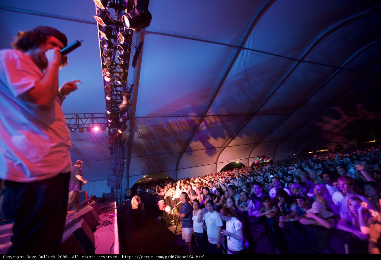 Tom Guiry Rocks Coachella