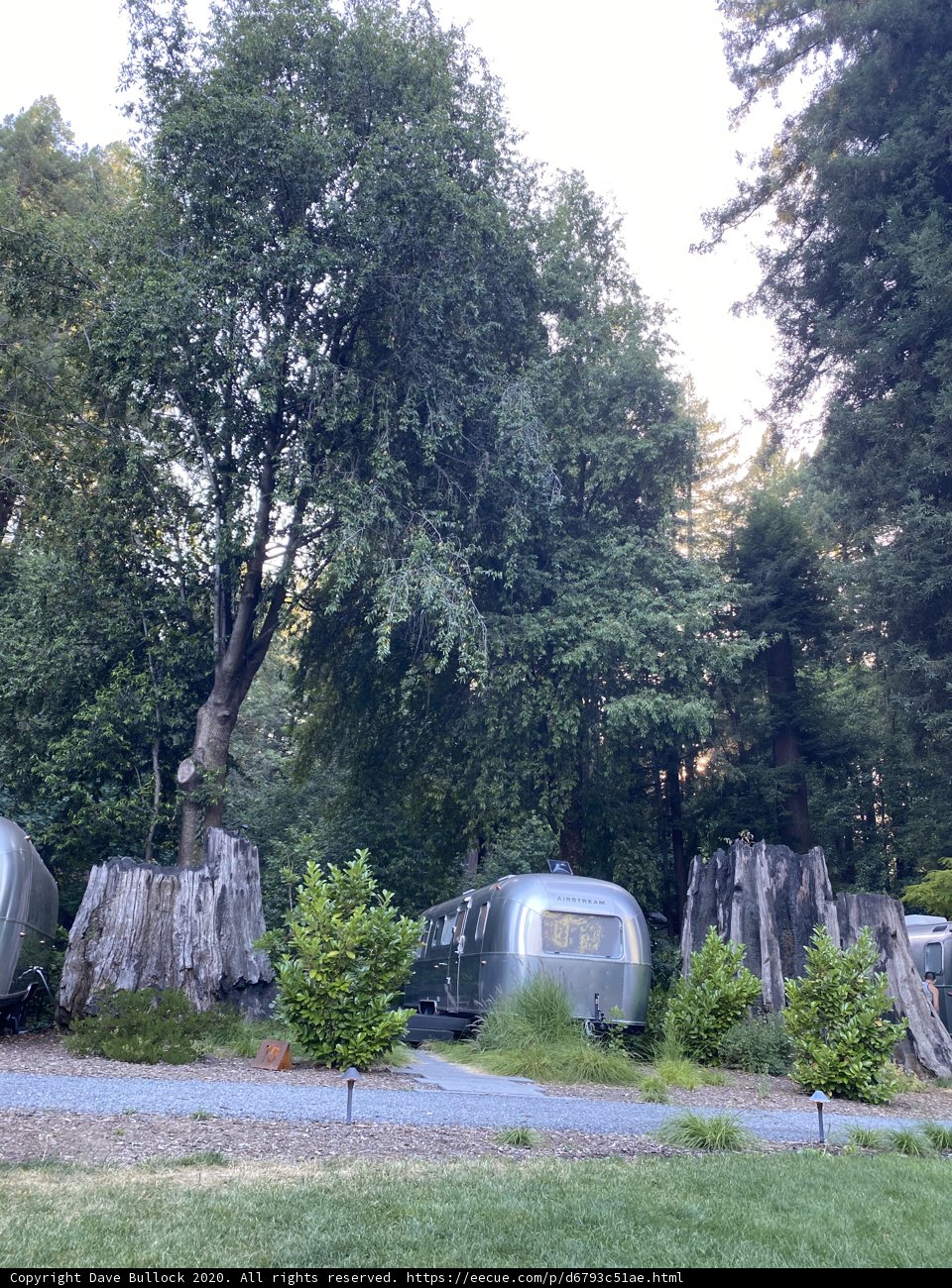 Airstreams amidst the towering trees