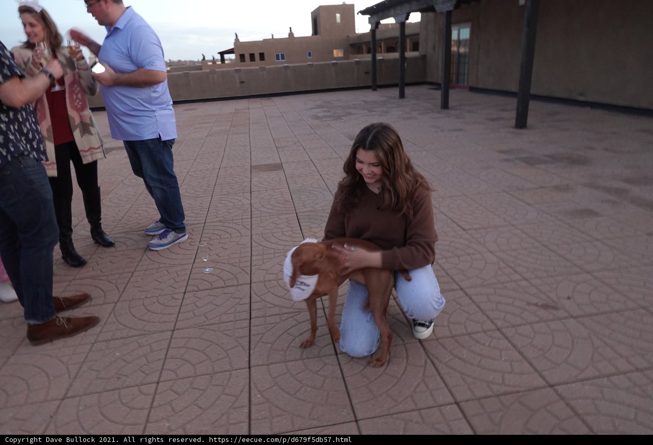 A Woman and Her Canine Companion