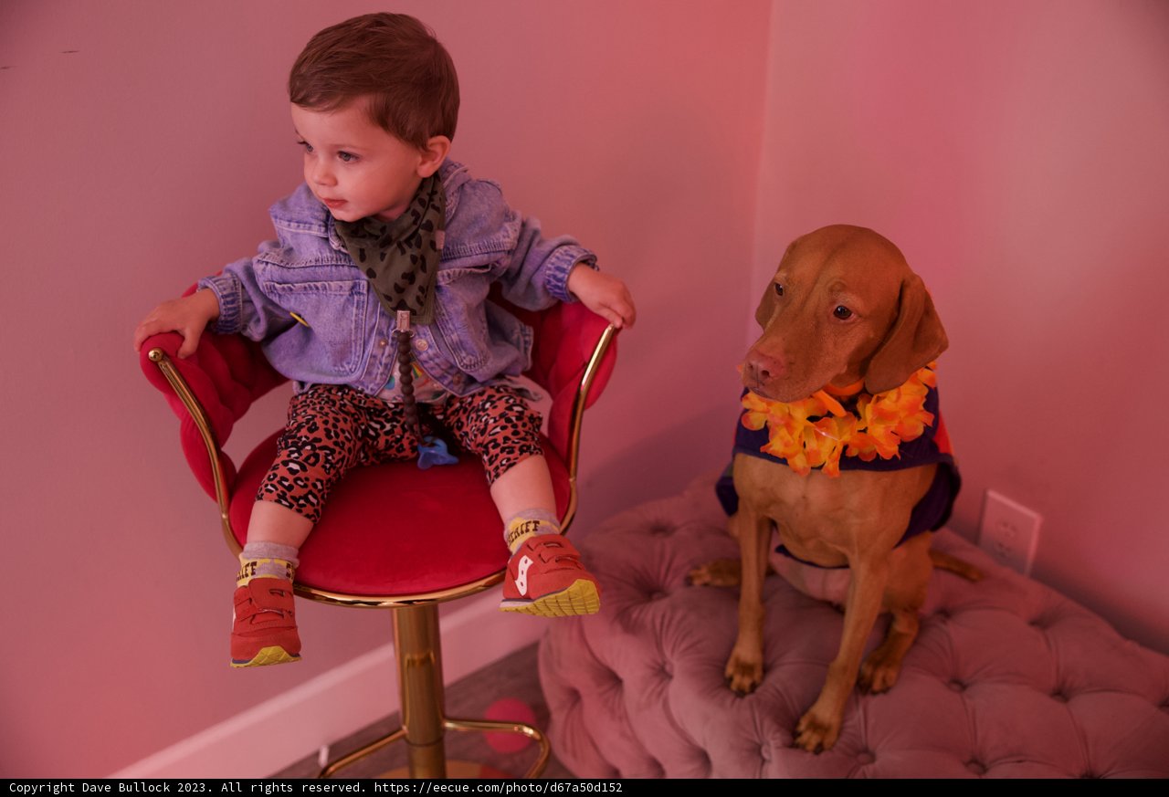 A Heartwarming Afternoon with Wesley and His Dog