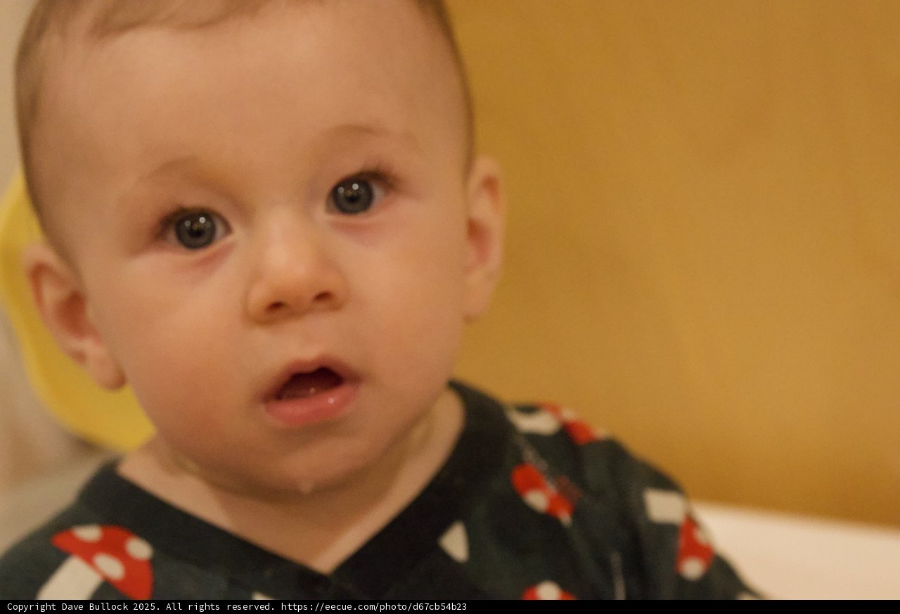 Innocence in Focus